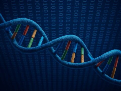 The picture shows the structure of the DNA molecule. Innovative approach with salmon DNA application