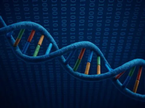 Resim DNA Molekülü yapısını göstermektedir. Somon DNA uygulaması ile yenilikçi yaklaşım