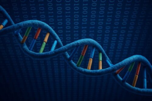 The picture shows the structure of the DNA molecule. Innovative approach with salmon DNA application