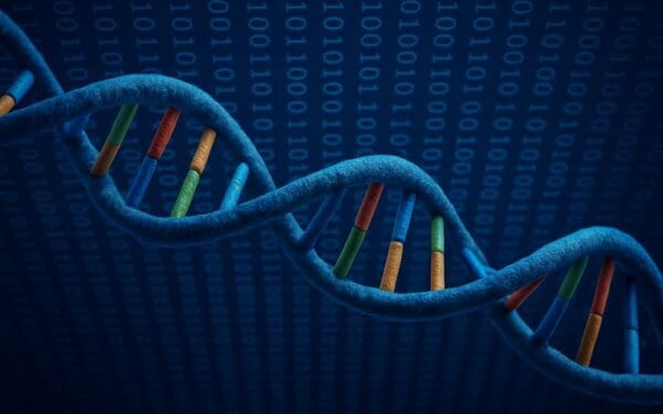 The picture shows the structure of the DNA molecule. Innovative approach with salmon DNA application