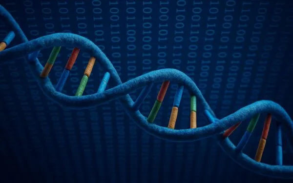 Resim DNA Molekülü yapısını göstermektedir. Somon DNA uygulaması ile yenilikçi yaklaşım